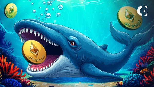 ETH Whales Rebuild as Outflows Trim Exchange Supply, Price Retests $4K
