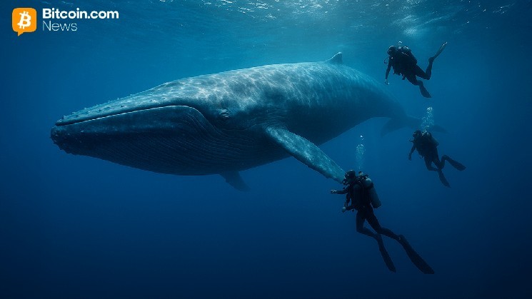 Bitcoin Whale’s $300M Transfer Sparks Speculation After Kraken Hot Wallet Transaction Goes Viral