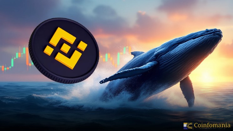 Crypto Whale 0x618b Buys Binance Life, Auto Tokens Worth $1.7M