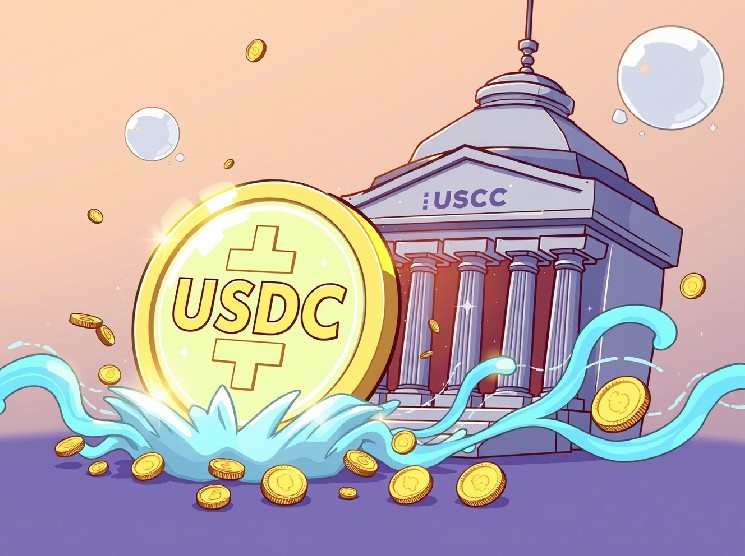 USDC Minted: A Staggering 250 Million Unleashed, What Does It Mean?