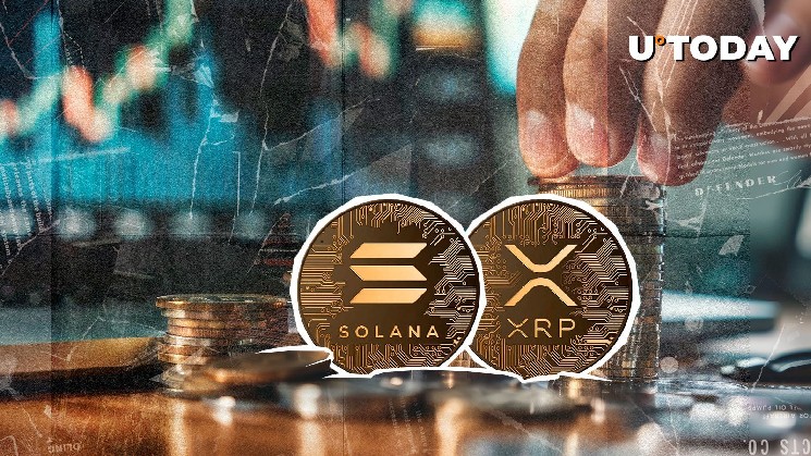 Solana Shades XRP: ‘There Is No Bridge Currency’