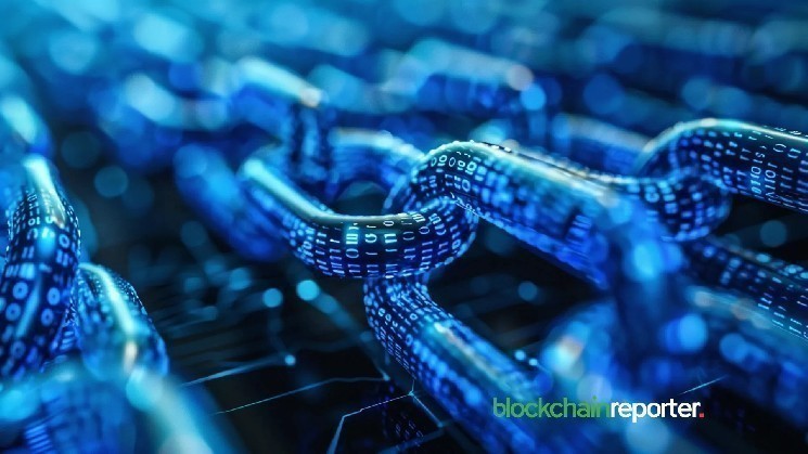 Renaiss Protocol Partners with Privy to Integrate DeFi Cross-Chain Applications with Real-World Collectibles, Aiming to Advance RWA Adoption