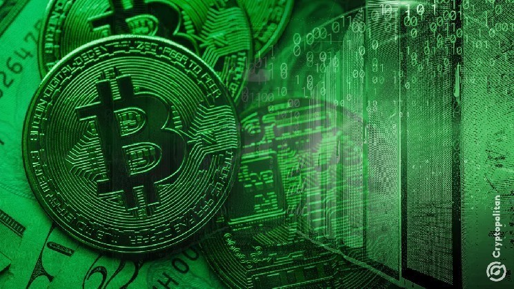 Crypto miners in Russia’s Caucasus region continue operating, defying ban