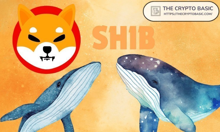 Shiba Inu Records 406 Whale Transactions Each Exceeding $100,000 in Value
