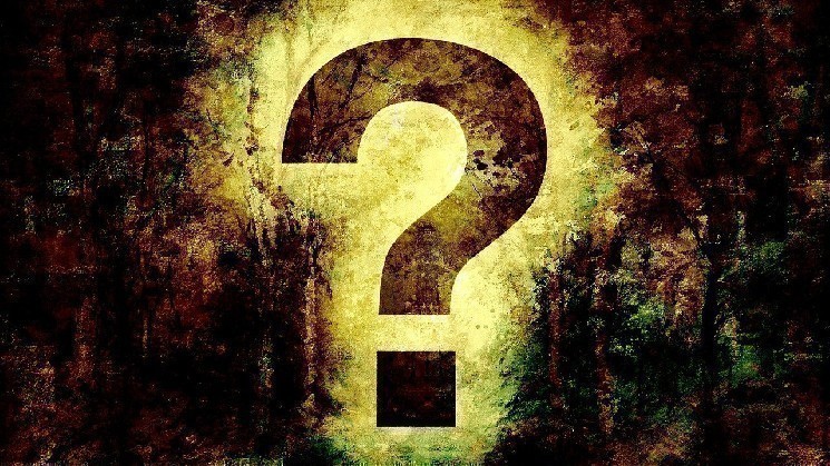 The Altcoins in the Ethereum Ecosystem That Crypto Developers Focus On Most Have Been Revealed – ETH Is Not in First Place